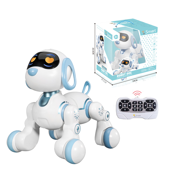 2023 Newly Released RC TOYS/RC ROBOT