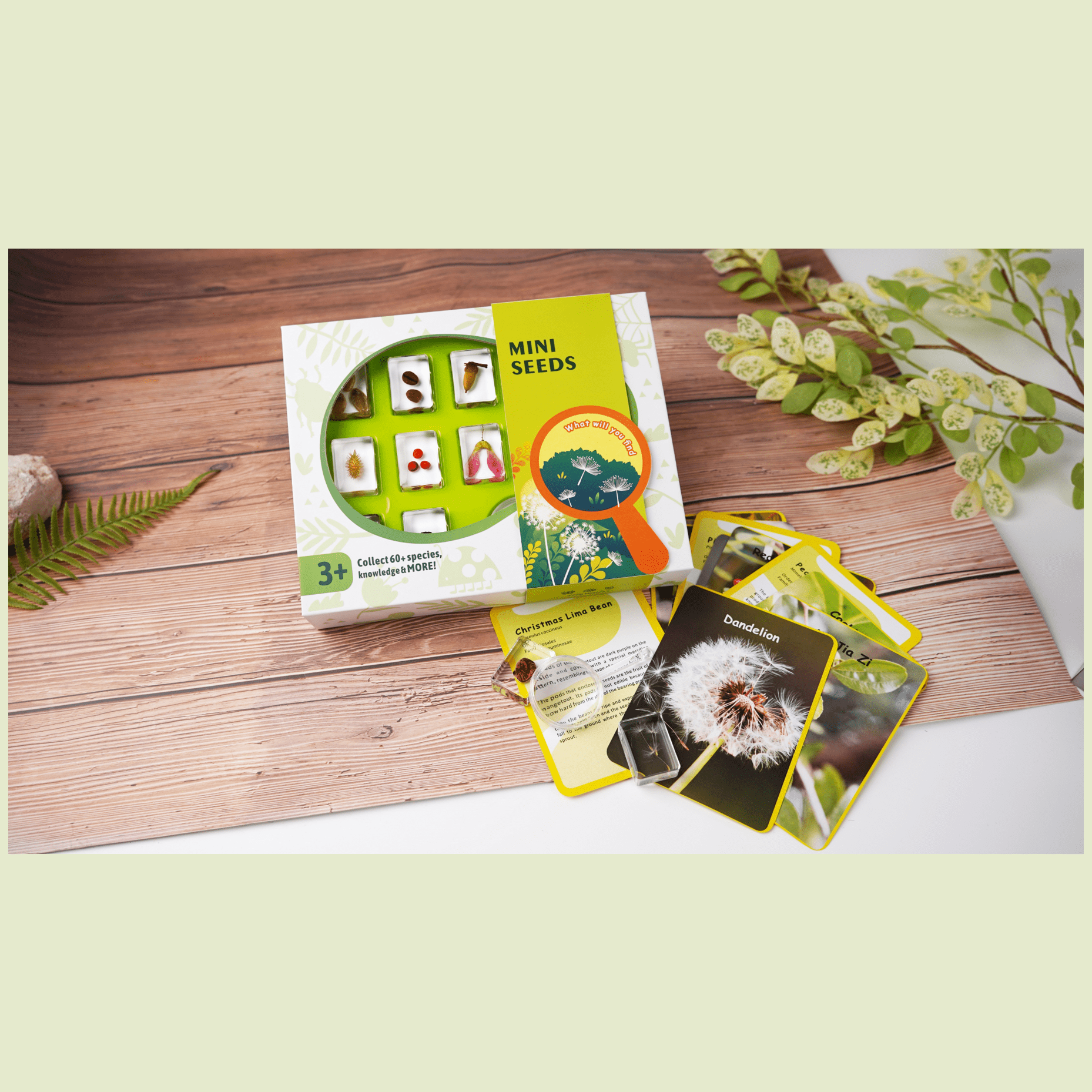Mini Seeds Novel Resin Toy