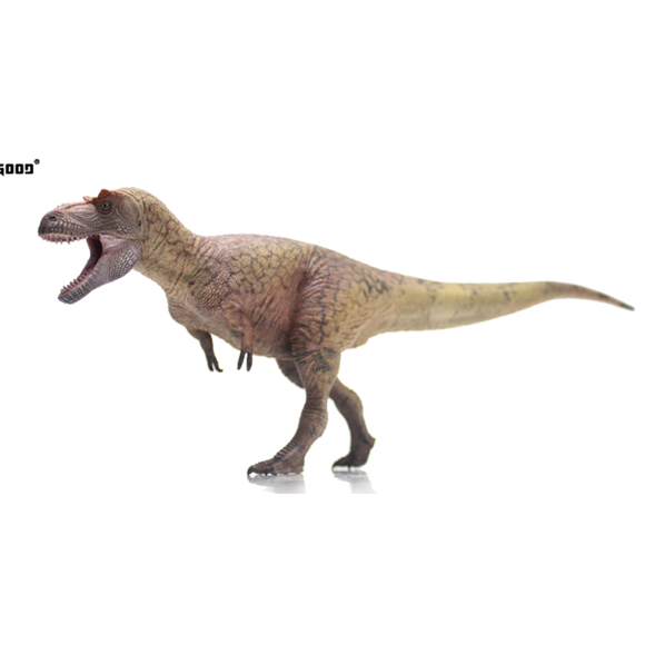 Daspletosaurus torosus-Lu Zhishen