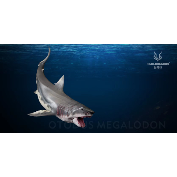 Otodusmegalodon-LiJun