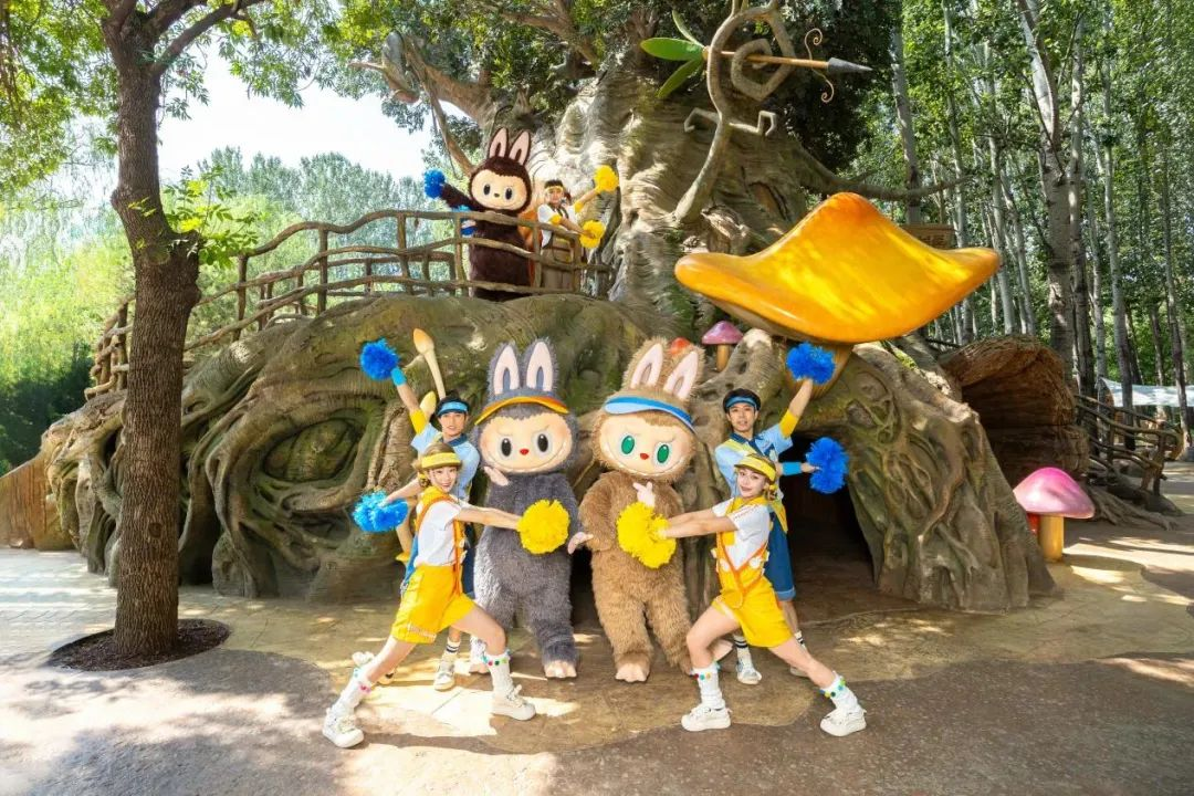图片6.png