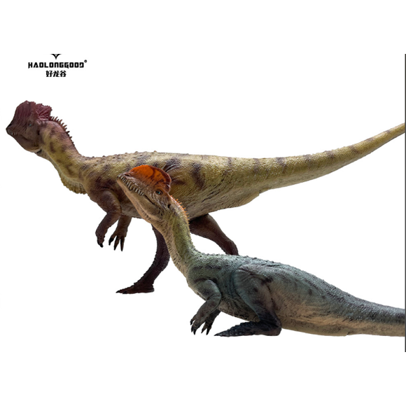 Dilophosaurus-WangYing / Hu Sanniang