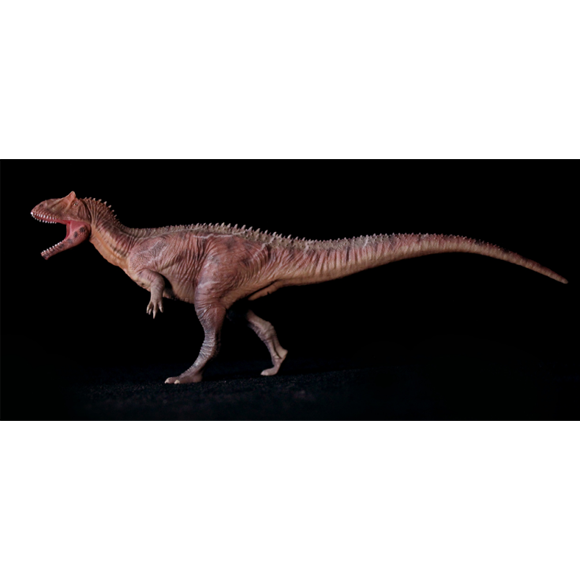 Allosaurus-SuoChao