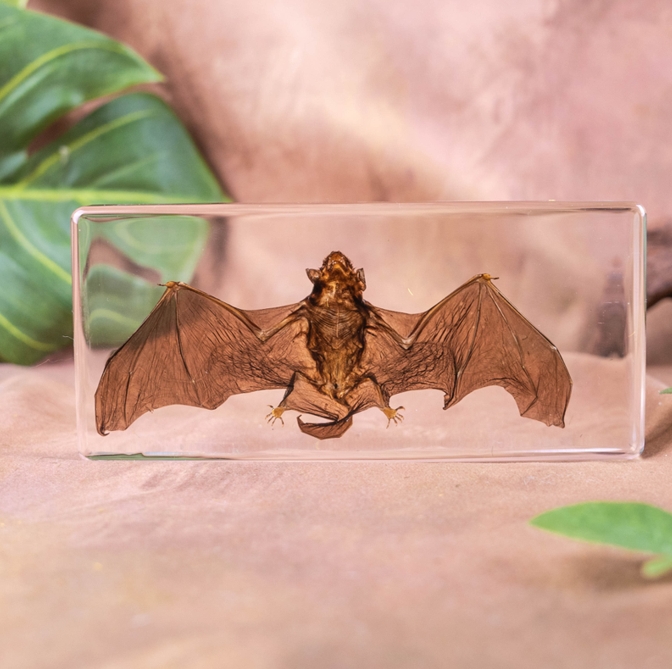 Bat Novel Resin Toy