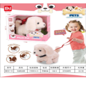 Educational Toy