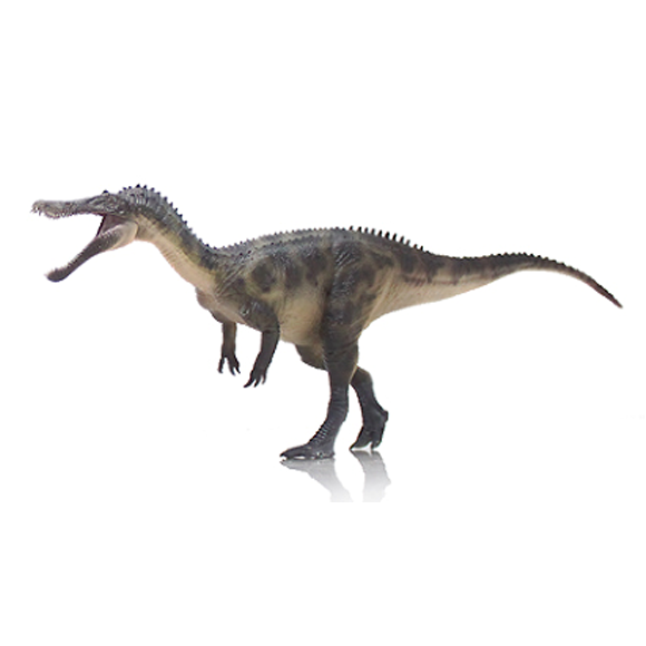Baryonyx-Wei Dingguo