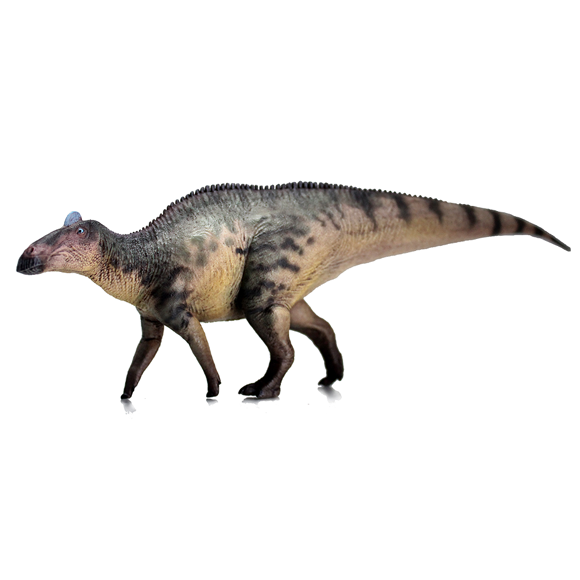 Edmontosaurus-XiaoRang