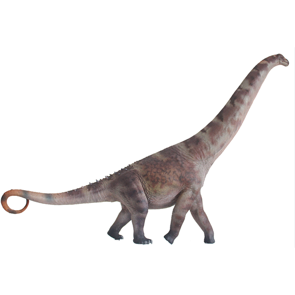Alamosaurus-MuHong