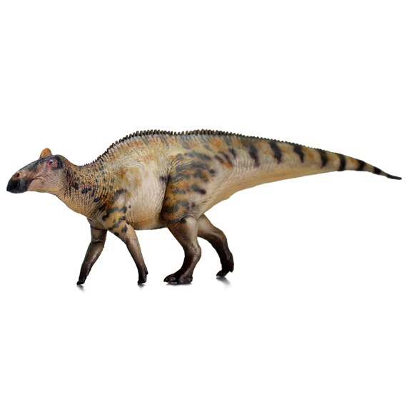 Edmontosaurus-PeiXuan