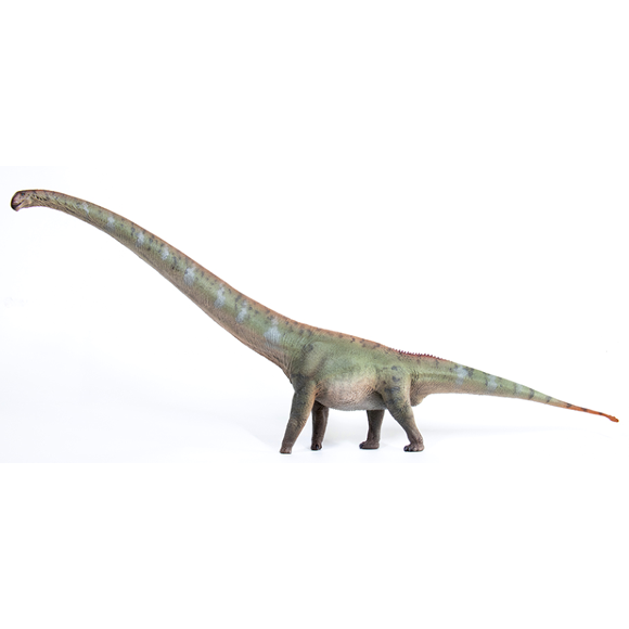 Mamenchisaurus-ChaiJin