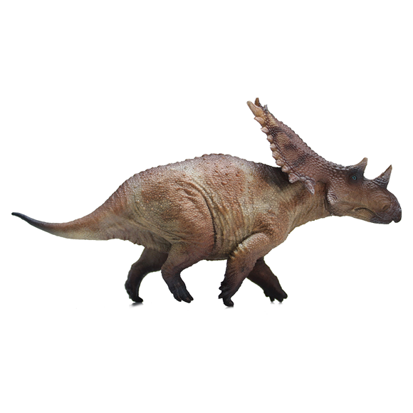 Chasmosaurus-ZhouRun