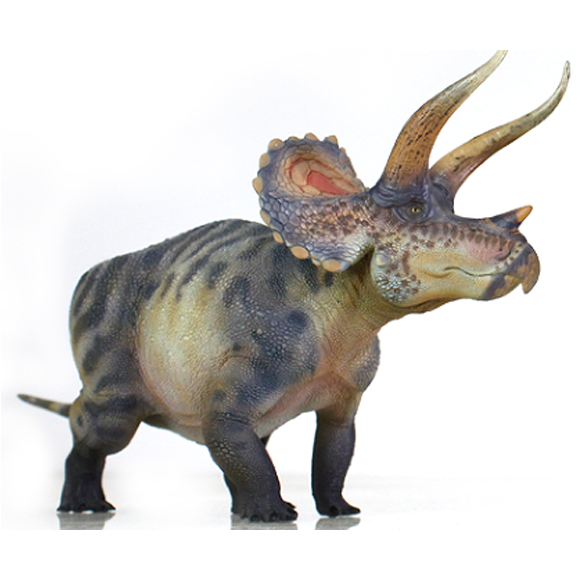Triceratops-Hu Yan Zhuo