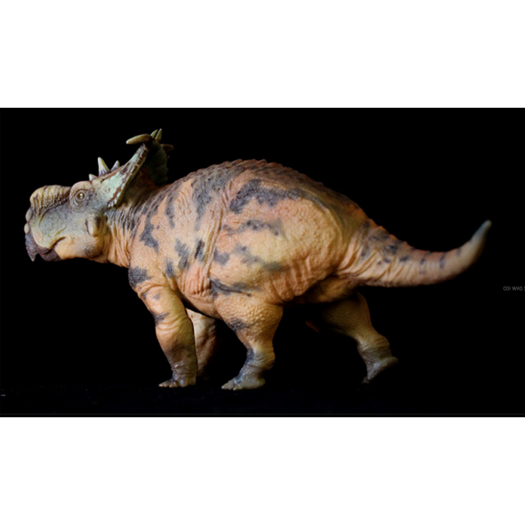 Pachyrhinosaurus-LvFang