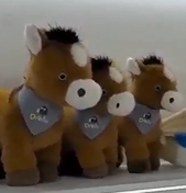 Scarf horse