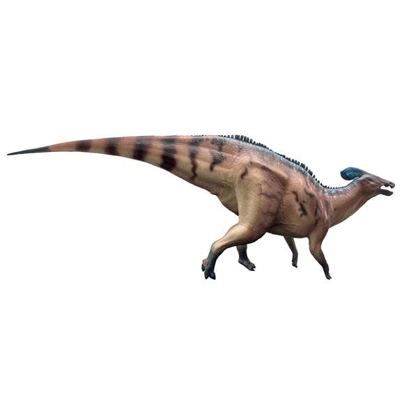 Tlatolophus galorum-Huang Puduan