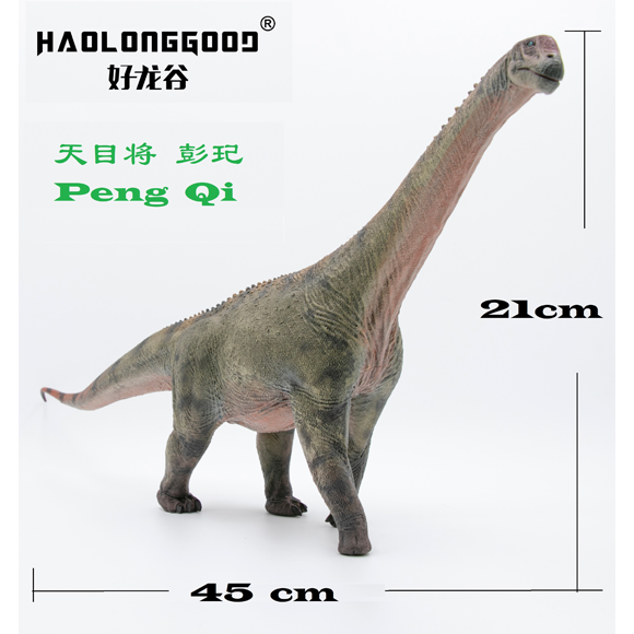 Camarasaurus-PengQi