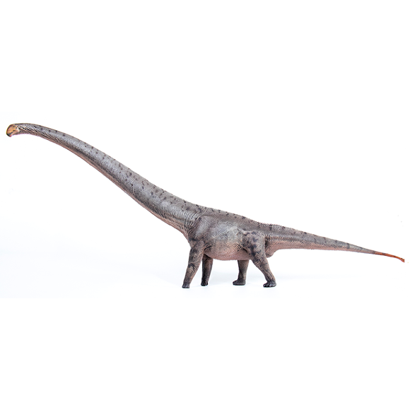 Mamenchisaurus-ZhuWu