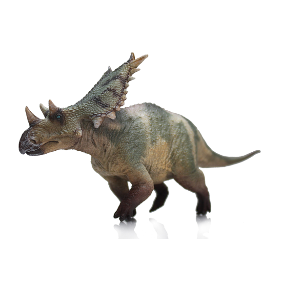 Chasmosaurus-ZhouYuan
