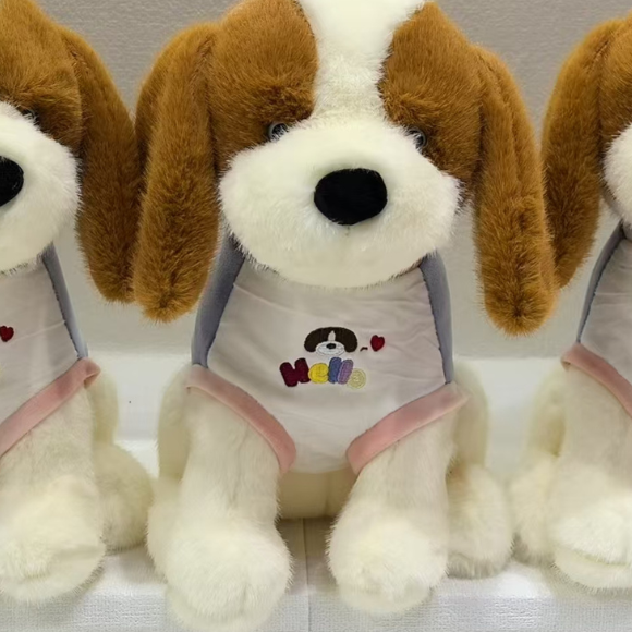 Dressed Beagle