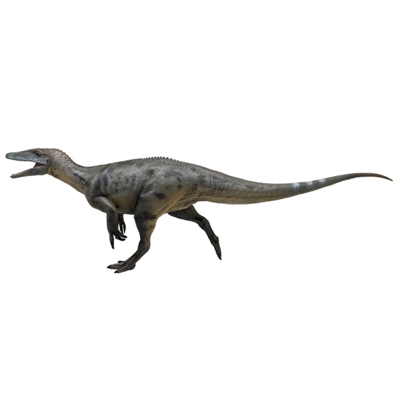 Megaraptor -Duan jingzhu